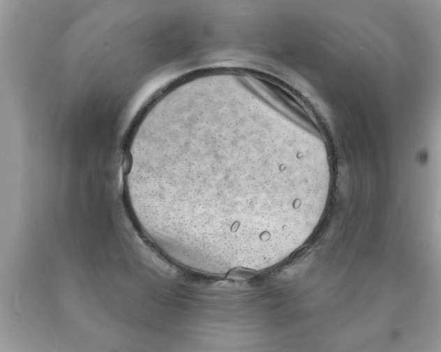 X0000089861368200707262119