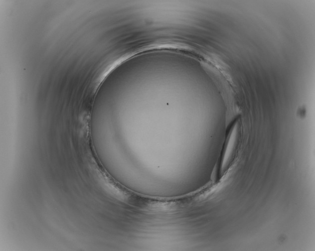 X0000089861369200707262119