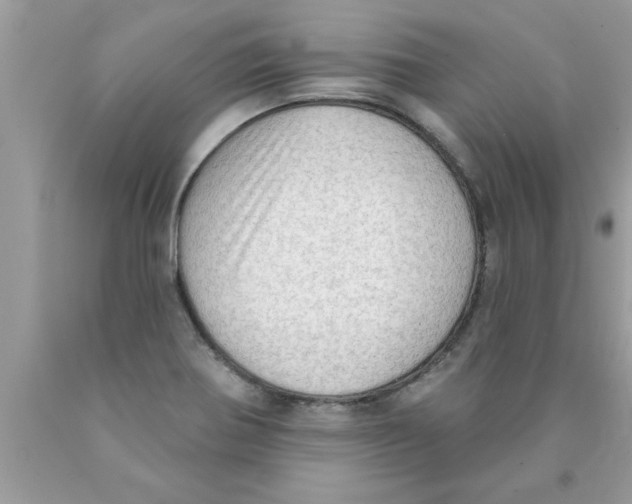 X0000089861370200707262119