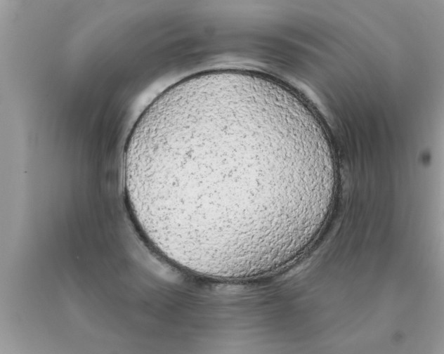 X0000089861371200707262119