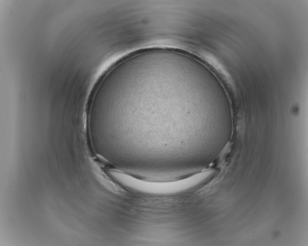 X0000089861372200707262119