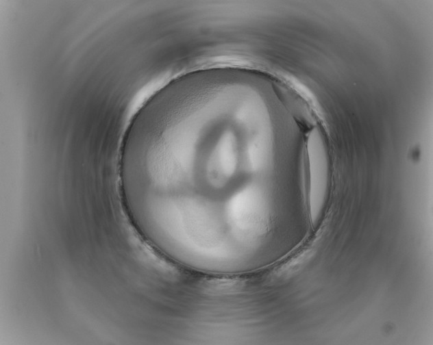 X0000089861373200707262119