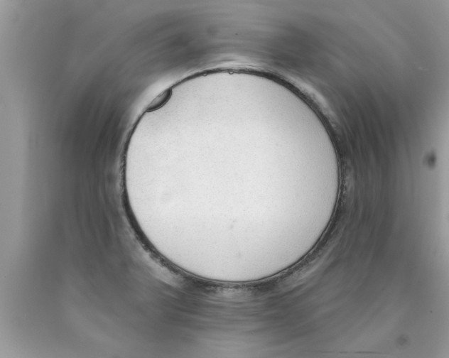 X0000089861375200707262119