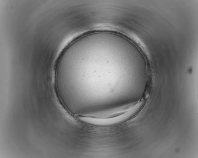 X0000089861376200707262119