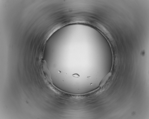 X0000089861377200707262119