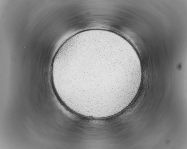 X0000089861379200707262119