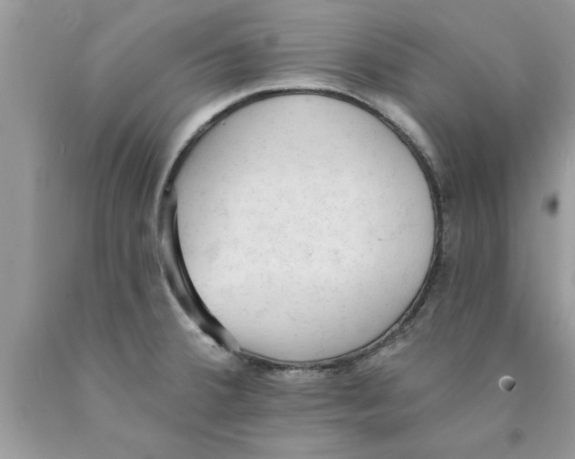 X0000089861380200707262119