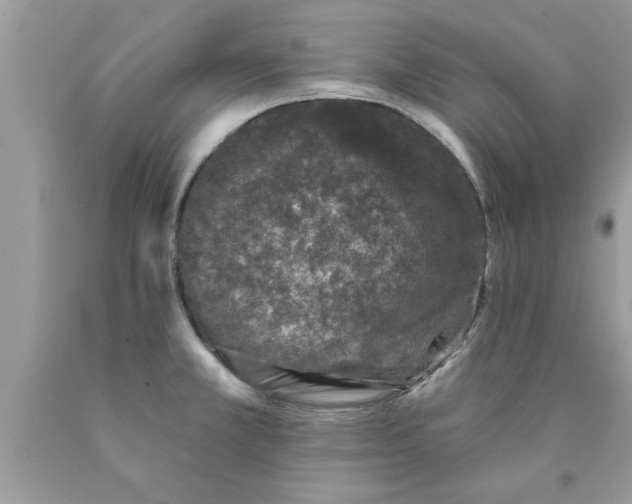 X0000089861381200707262119