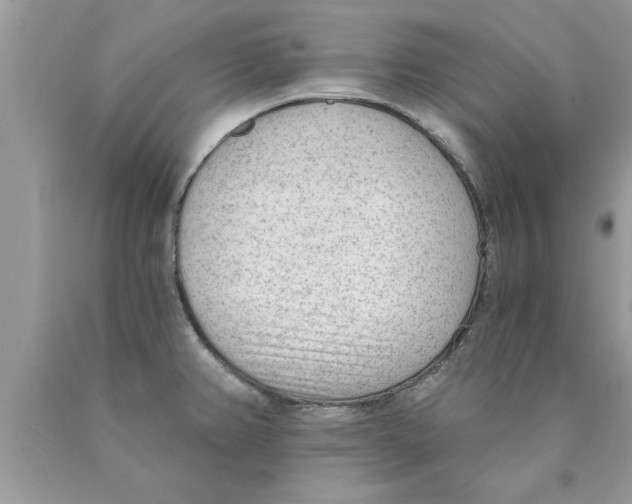 X0000089861382200707262119