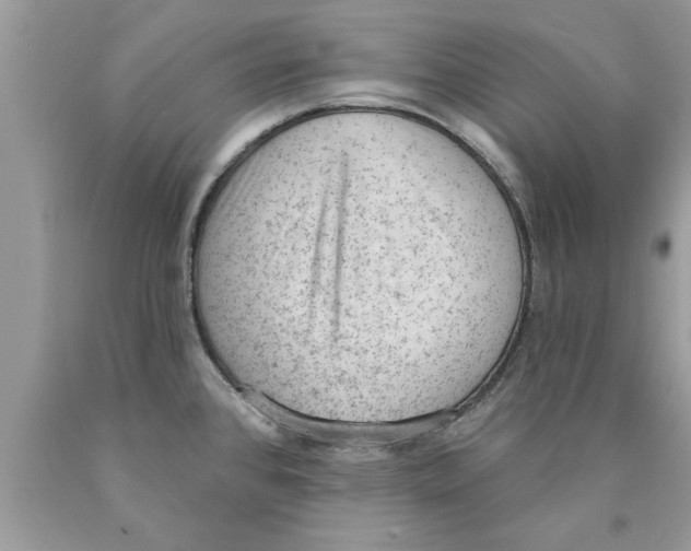 X0000089861384200707262119