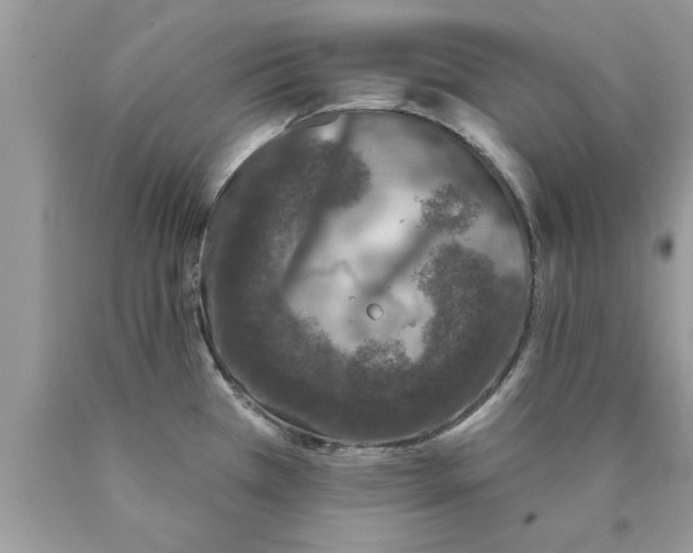 X0000089861385200707262119