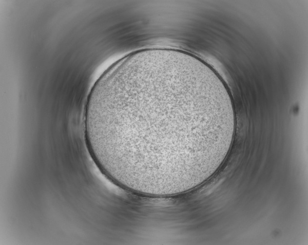 X0000089861387200707262119