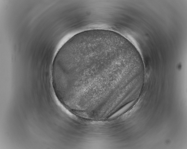 X0000089861389200707262119