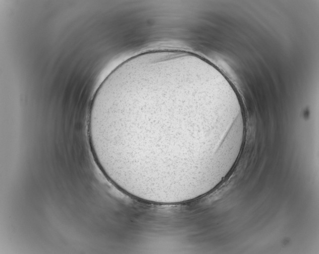 X0000089861390200707262119