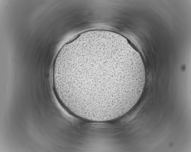 X0000089861391200707262119