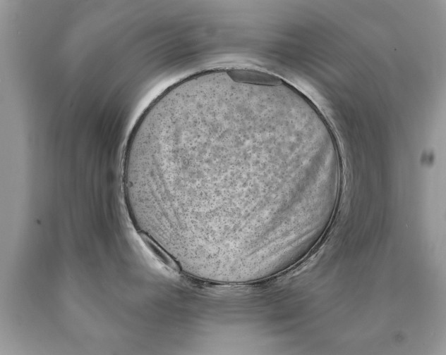 X0000089861392200707262119