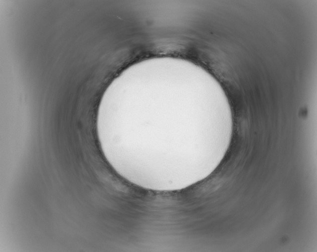 X0000089861393200707262118