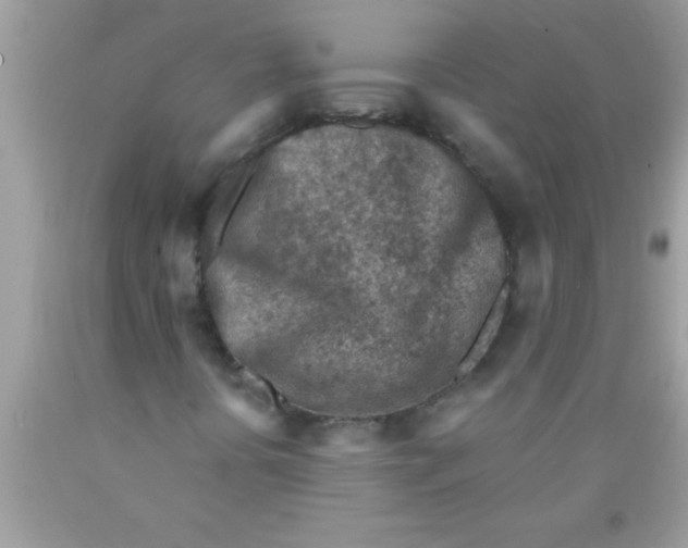 X0000089861394200707262118