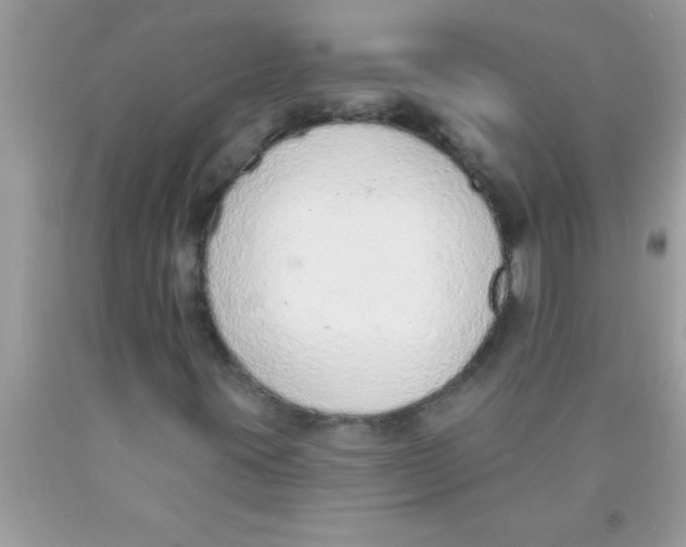 X0000089861395200707262118