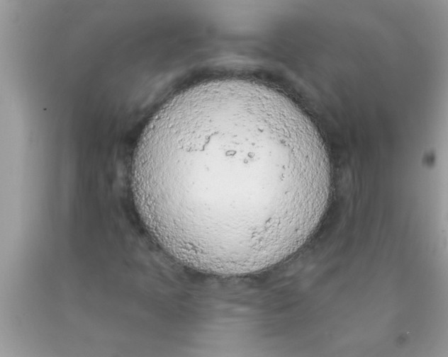 X0000089861397200707262118