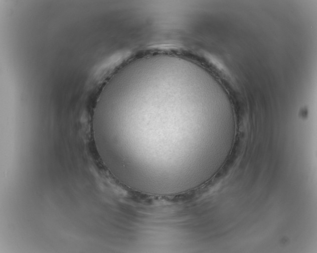 X0000089861398200707262118