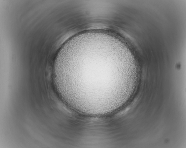 X0000089861401200707262118