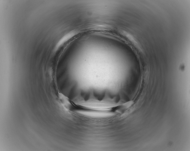 X0000089861402200707262118