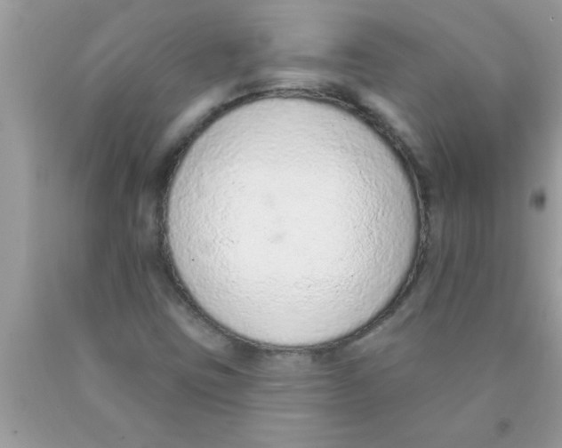 X0000089861403200707262118