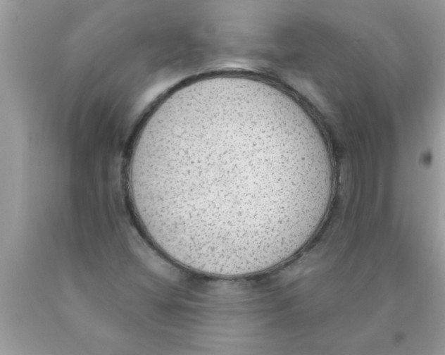 X0000089861404200707262118