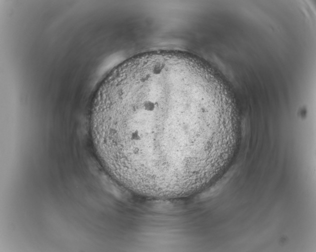 X0000089861405200707262118