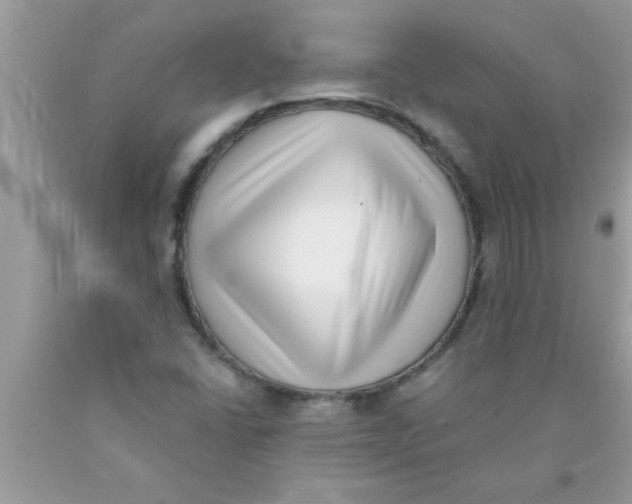 X0000089861406200707262118