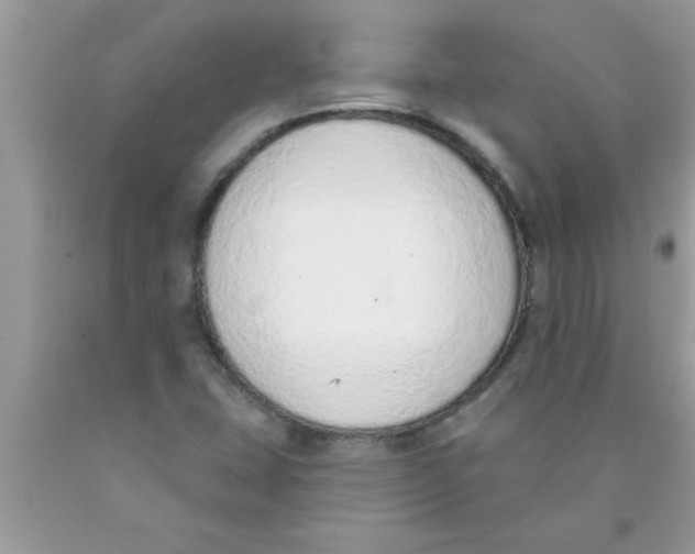 X0000089861407200707262118