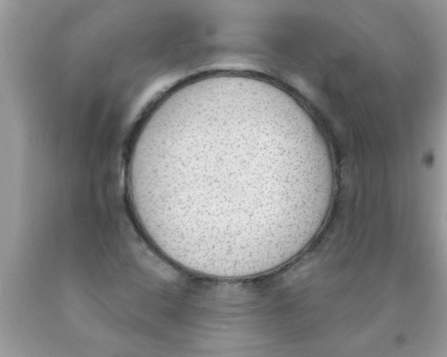 X0000089861408200707262118