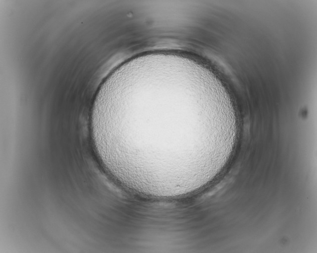 X0000089861409200707262118