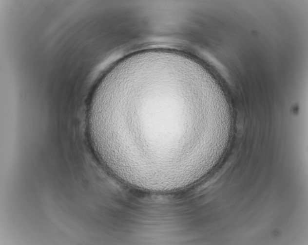 X0000089861411200707262118