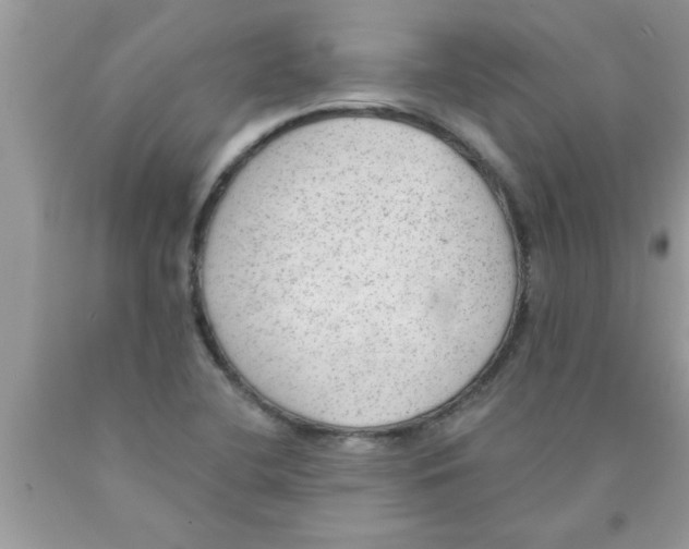 X0000089861412200707262118