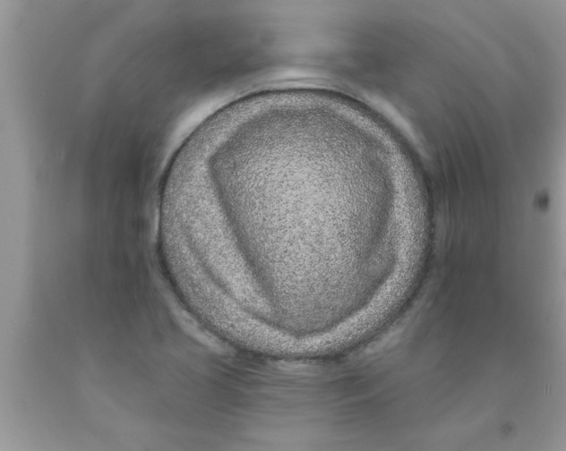 X0000089861413200707262118