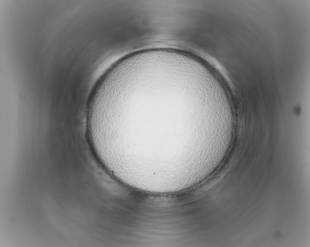 X0000089861415200707262118