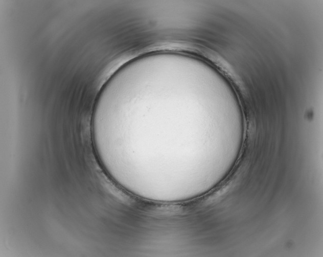 X0000089861417200707262118