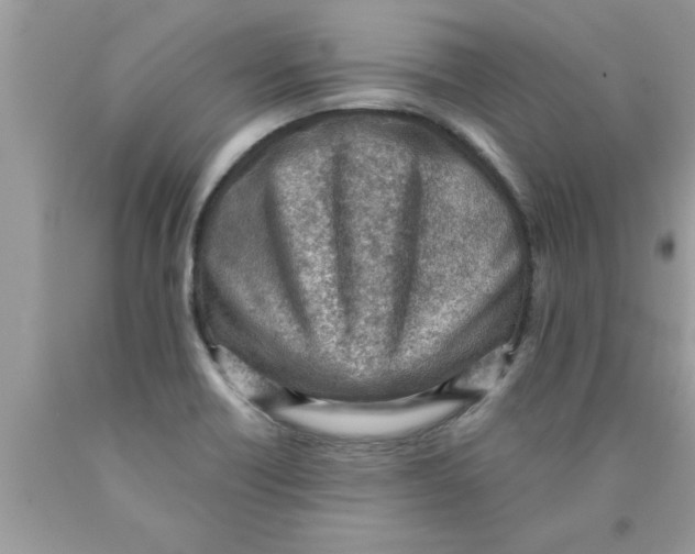 X0000089861418200707262118