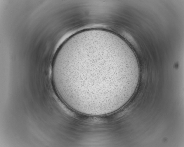 X0000089861420200707262118