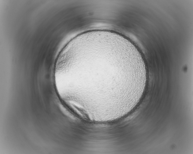 X0000089861421200707262118