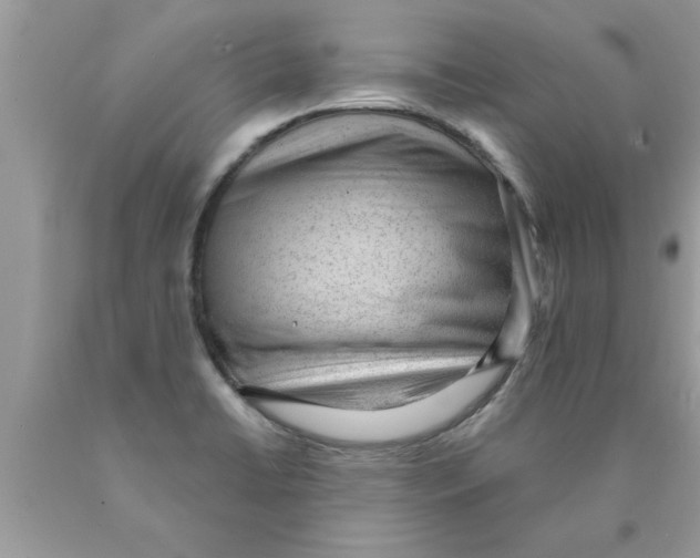 X0000089861422200707262118