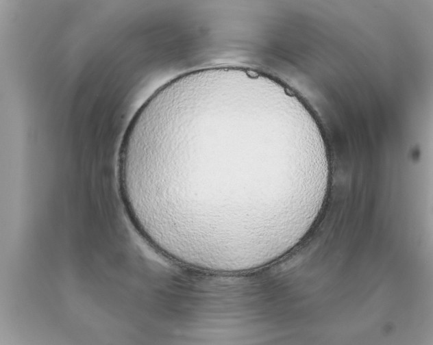 X0000089861423200707262118