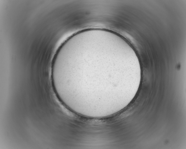 X0000089861424200707262118