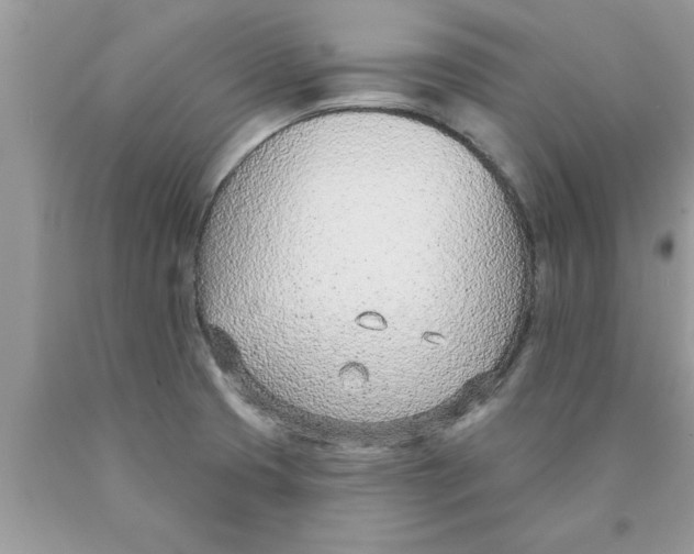 X0000089861425200707262118