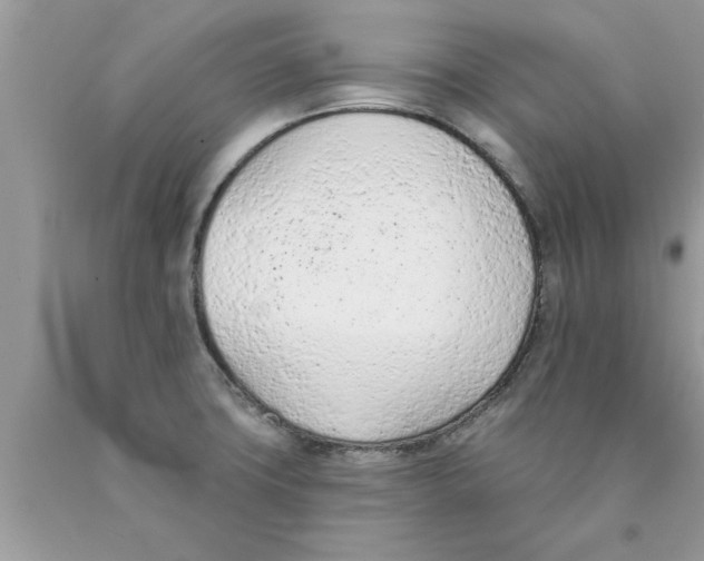 X0000089861427200707262118