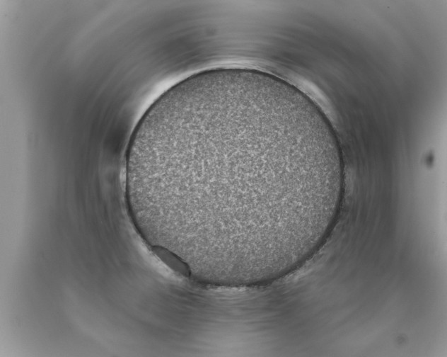 X0000089861428200707262118