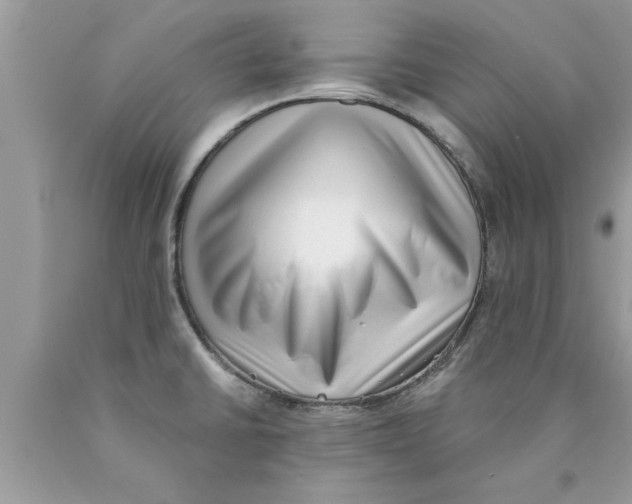 X0000089861430200707262119