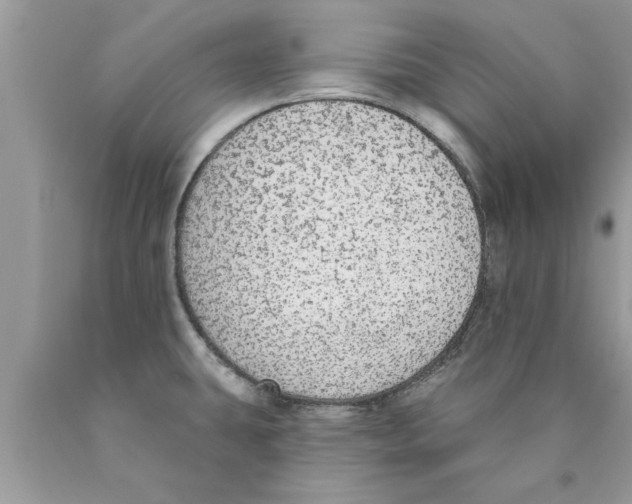 X0000089861431200707262119